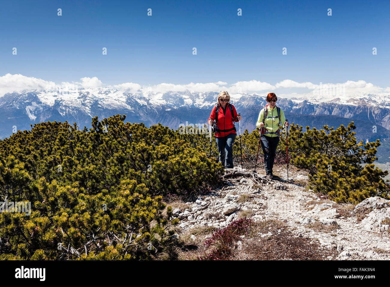 Escursionista sul vertice di Wiggerspitz, Cima Rocca piana, che si affaccia sulla Val di Non e sul Brenta Trentino Provincia Foto Stock