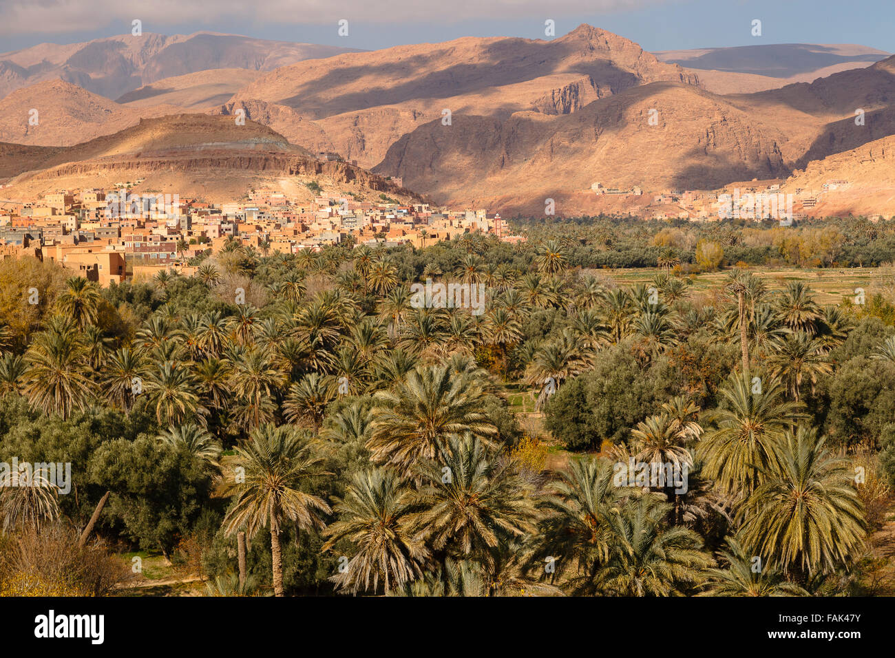 Tinerhir e Todra valle. Il Marocco. Il Nord Africa. Foto Stock