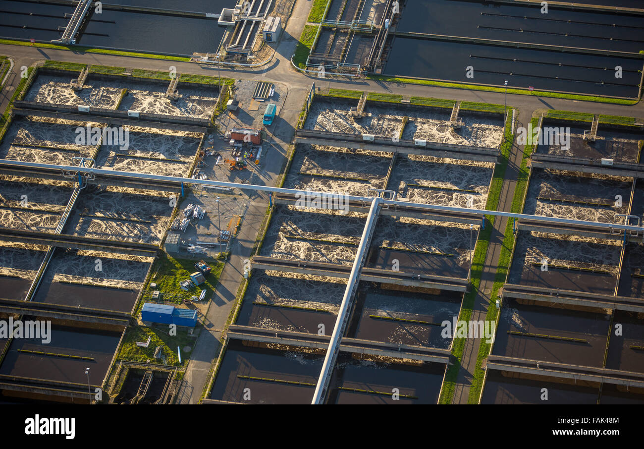 Emschermündung impianto di depurazione delle acque reflue, chiarificatori, Dinslaken, Walsum, Duisburg, distretto della Ruhr, Nord Reno-Westfalia, Germania Foto Stock