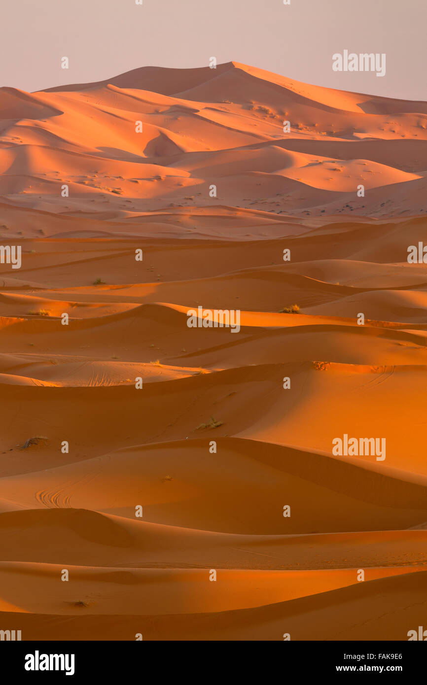 Dune di Merzouga. Erg Chebbi. Il Marocco. Il Nord Africa. Foto Stock