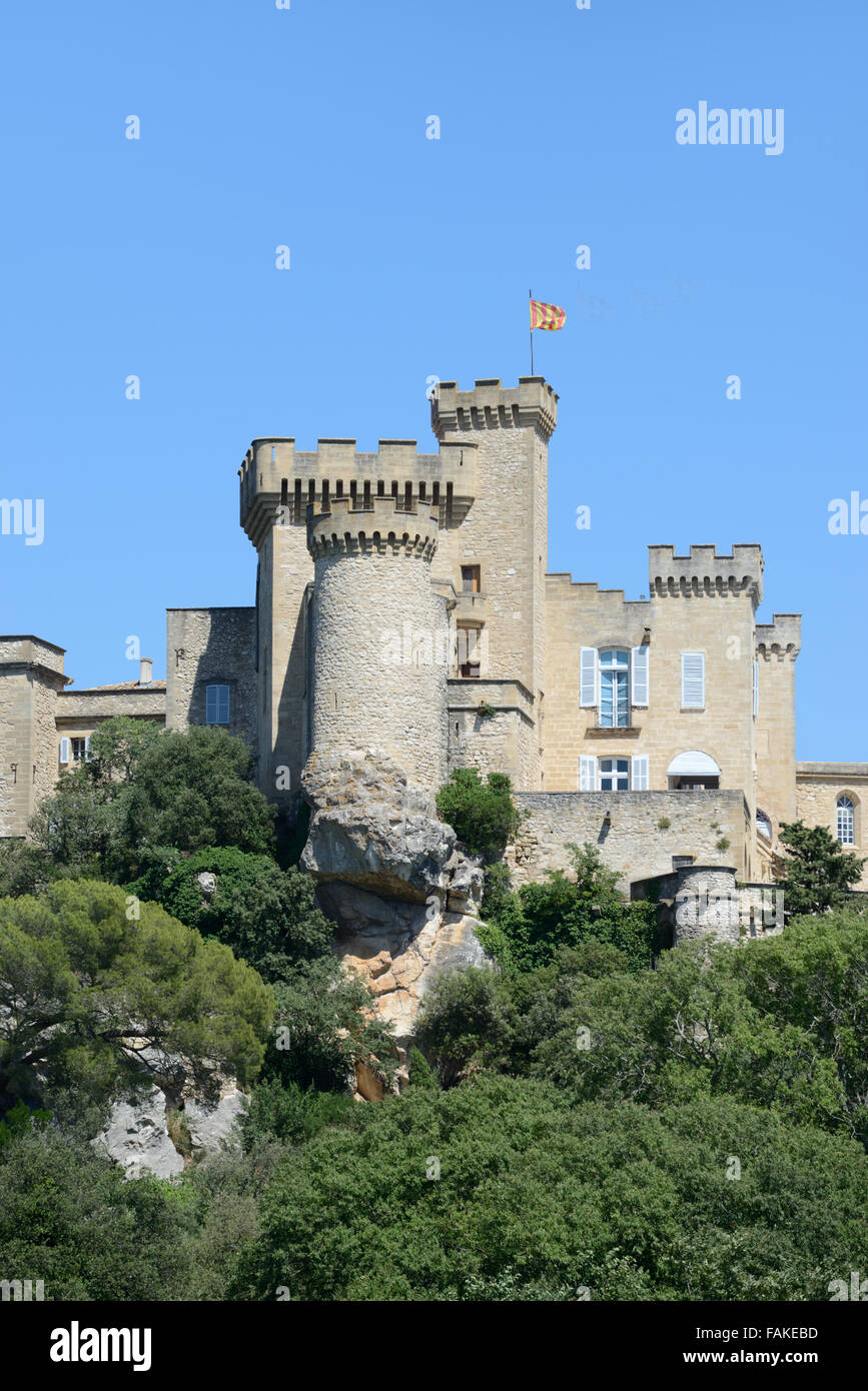 Castello medievale de la Barben Provence Francia Foto Stock