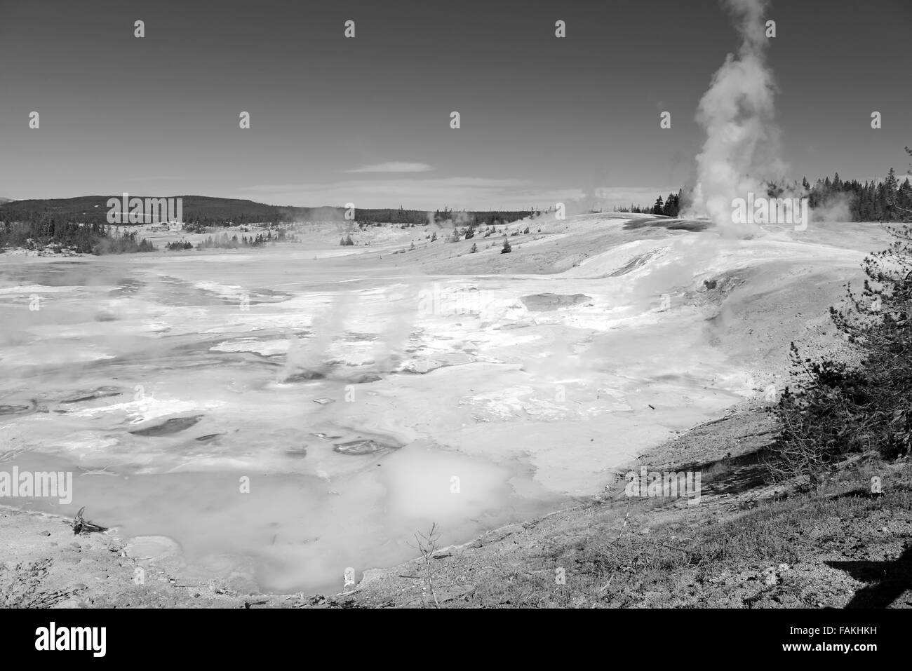 Attività geotermica presso il Parco Nazionale di Yellowstone, Wyoming USA Foto Stock