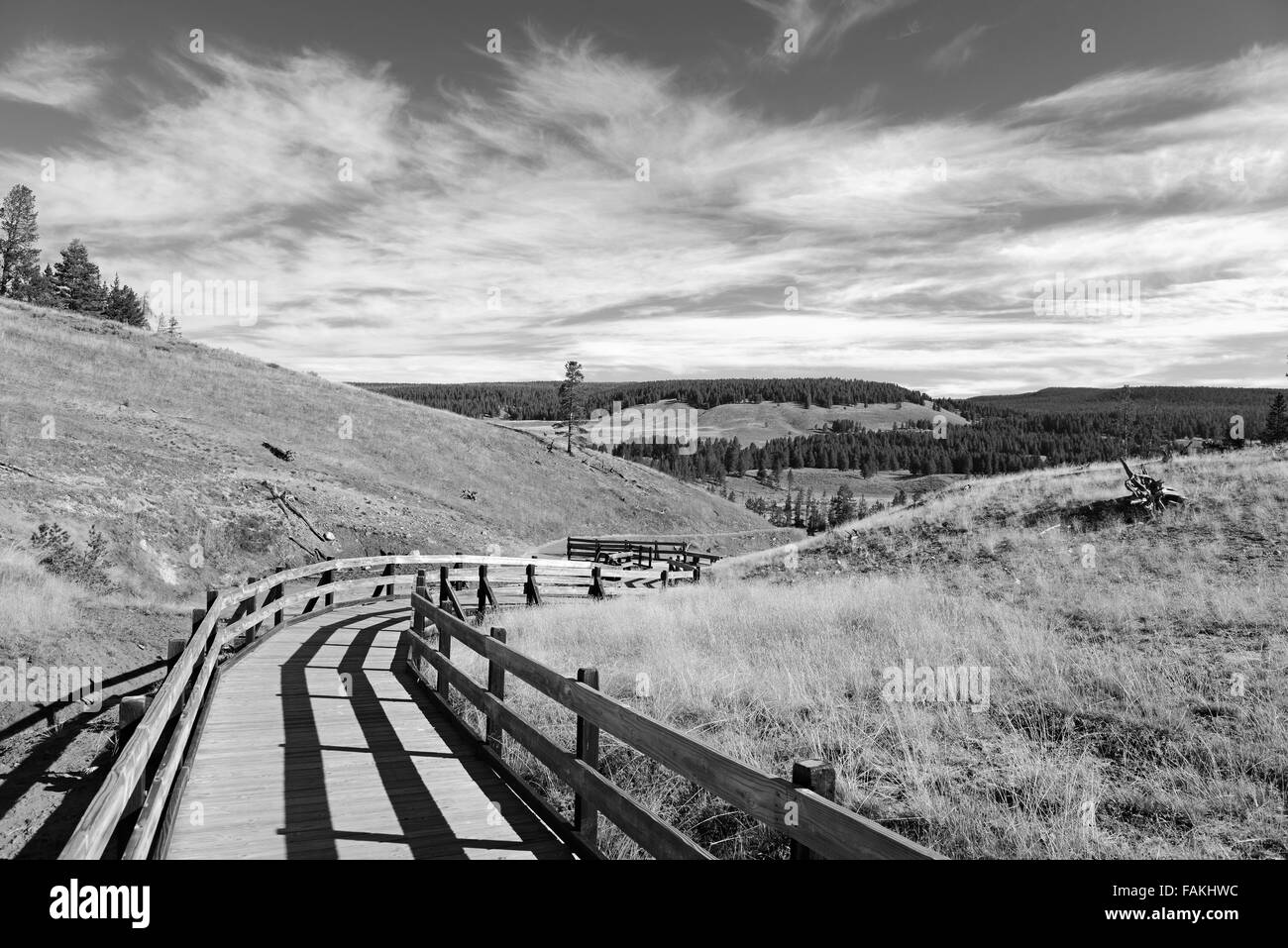 Parco Nazionale di Yellowstone, Wyoming USA Foto Stock