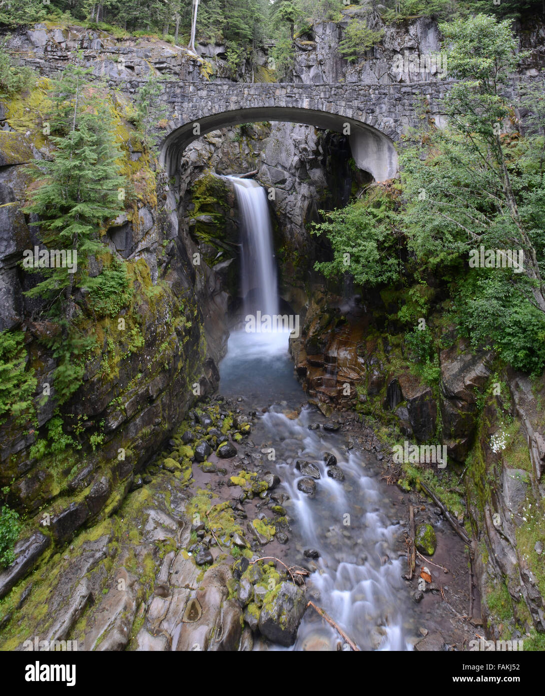 Christine scende in Mt. Rainier National Park Foto Stock