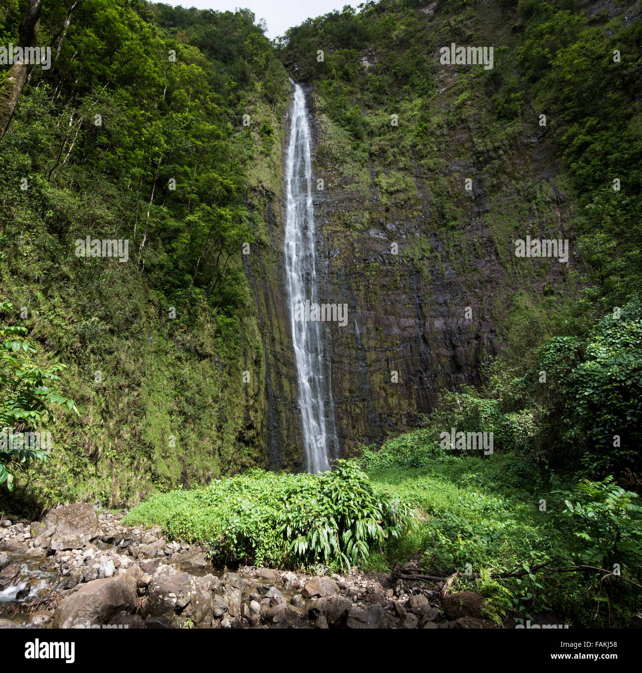 Waimoku cade alla fine del sentiero Pipiwai vicino a Maui, Hawaii Foto Stock