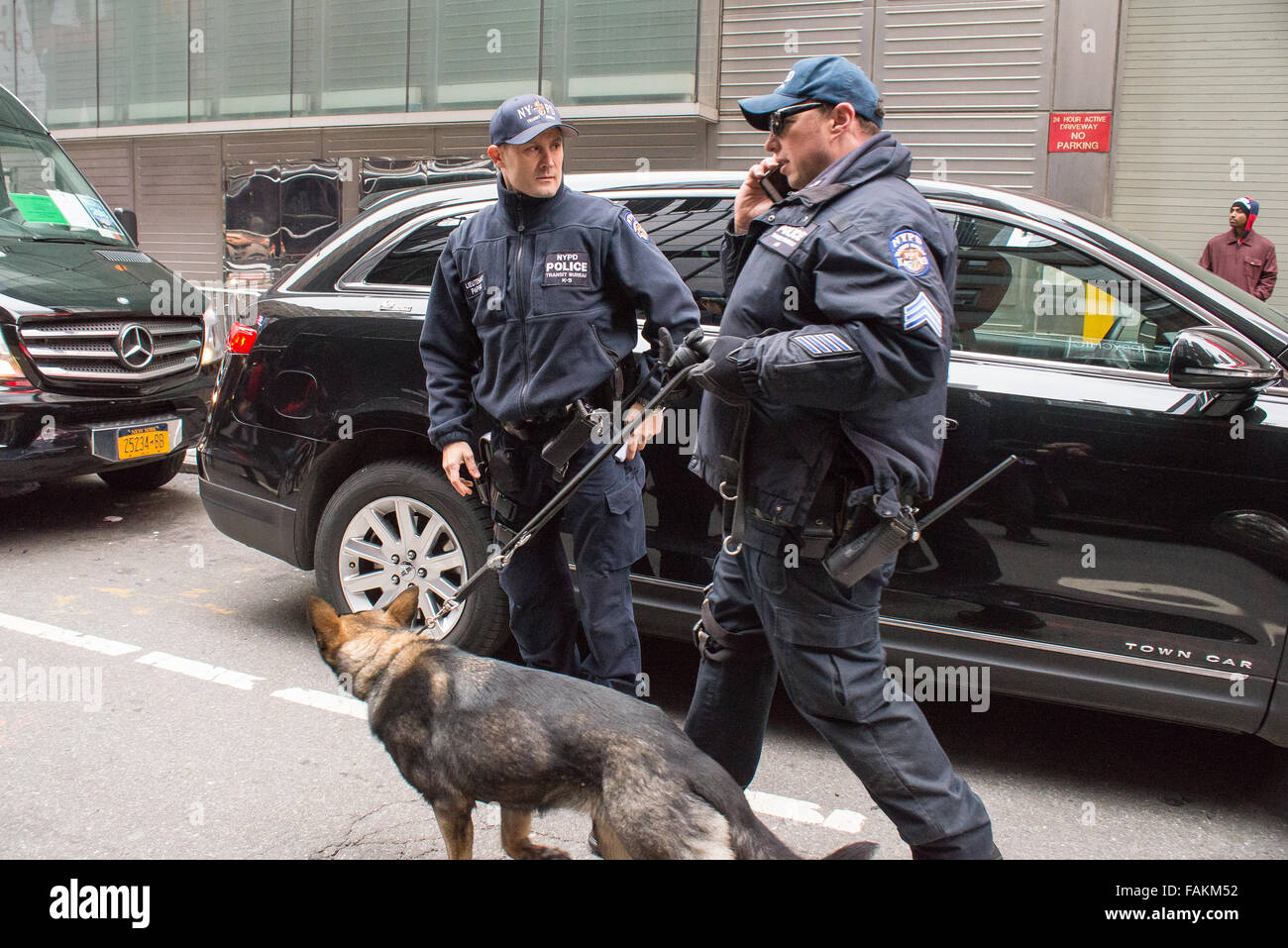 New York, Stati Uniti. 31 Dic, 2015. NYPD canine ufficiali pattugliano una delle strade laterali che portano a Times Square. Con un maggiore grado di sicurezza a causa della minaccia di un attacco terroristico come quelle di Parigi e di San Bernardino, preparazioni per New York City annuali di Times Square Veglione di Capodanno riflettono la città la volontà di mantenere la pubblica sicurezza in tale massa incontri pubblici. Credito: Albin Lohr-Jones/Pacific Press/Alamy Live News Foto Stock