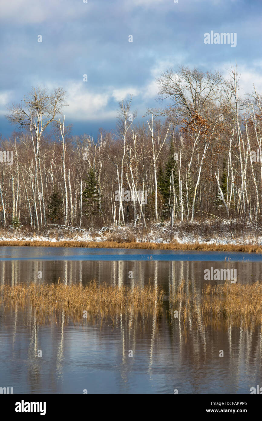 Deserto lago nel Wisconsin settentrionale Foto Stock