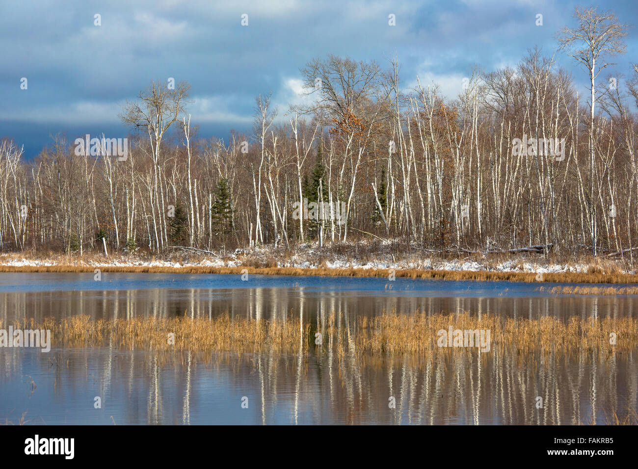 Deserto lago nel Wisconsin settentrionale Foto Stock