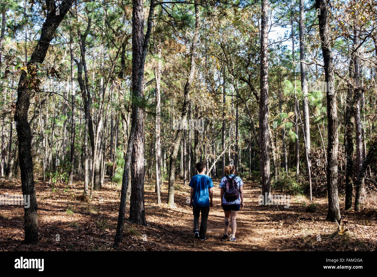 Gainesville Florida,San Pelasco Hammock state Park,paesaggio naturale,natura,escursioni,sentiero,pineta,alberi,teen teens adolager ragazzo,ragazza ragazze, Foto Stock