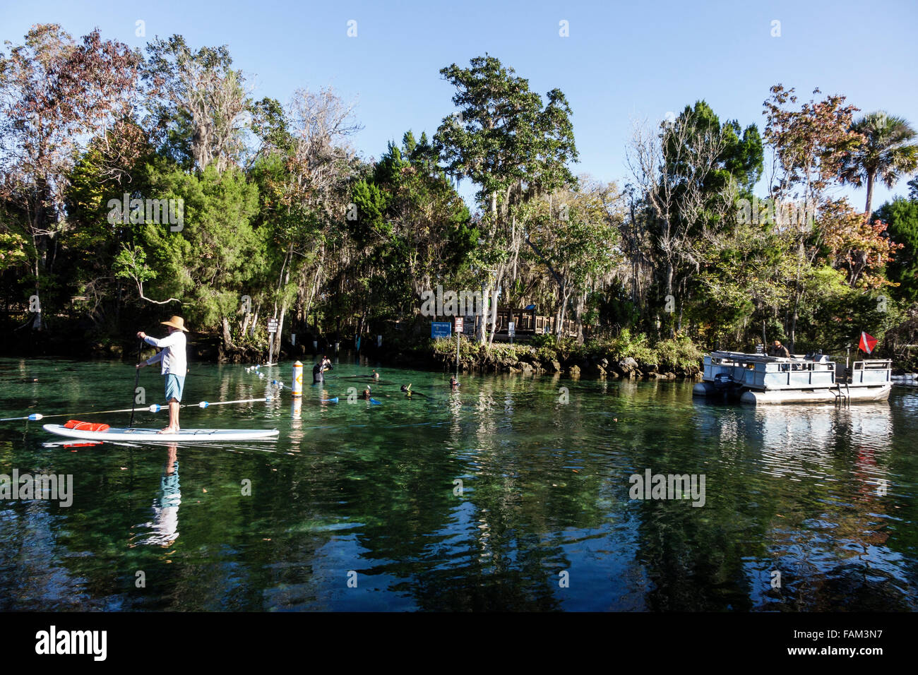 Florida Crystal River Water, Kings Bay Water, Crystal River Water National Wildlife Refuge, acqua, paesaggio naturale, paddleboard, senior senior senior senior old Citizen Foto Stock