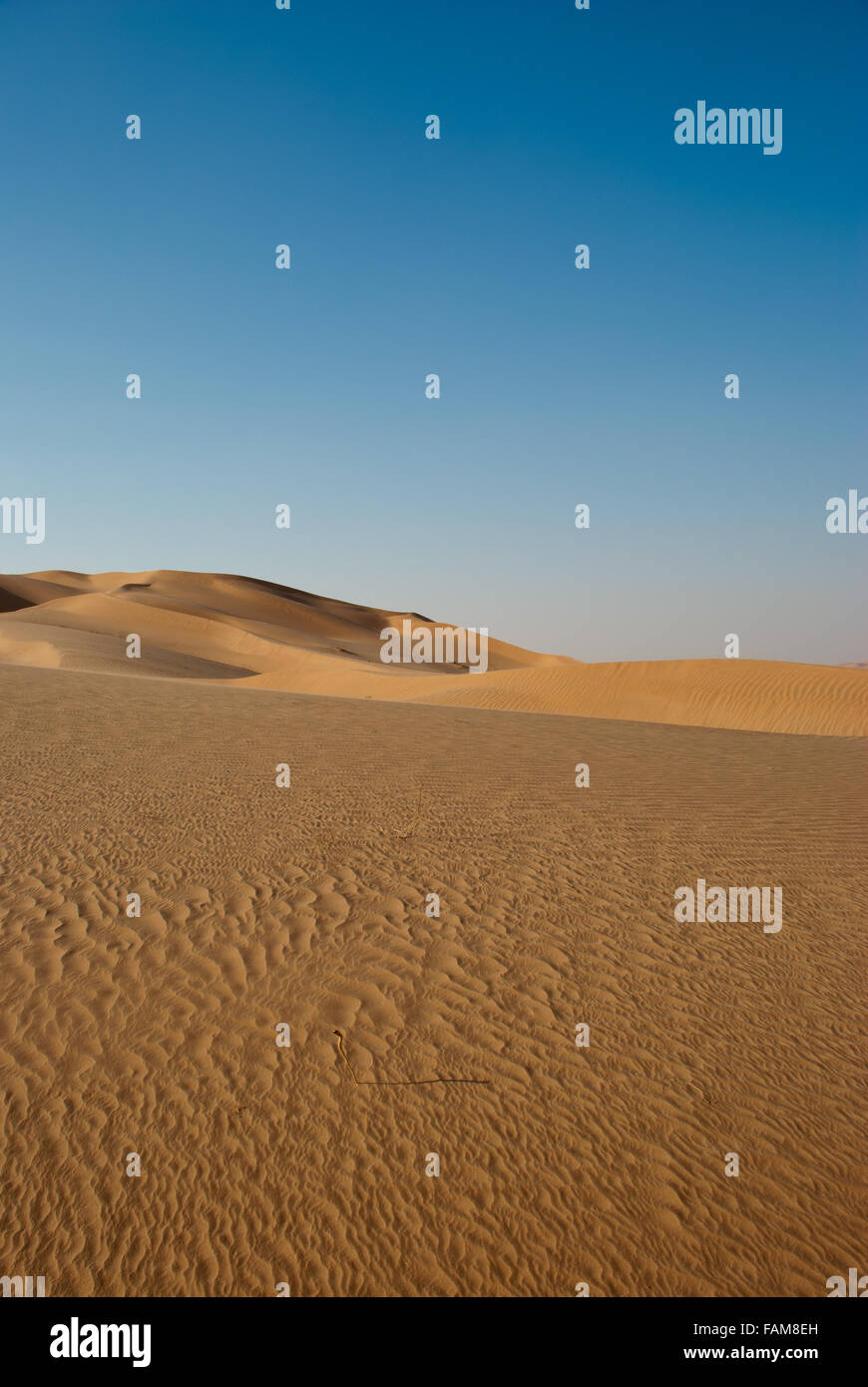 Dune di sabbia del deserto di Oman Foto Stock