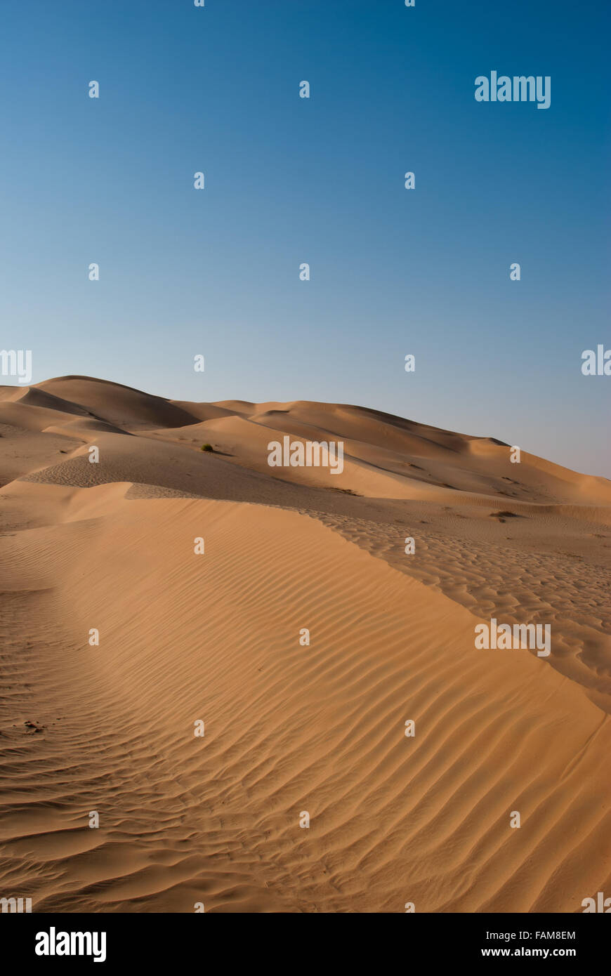 Dune di sabbia del deserto di Oman Foto Stock