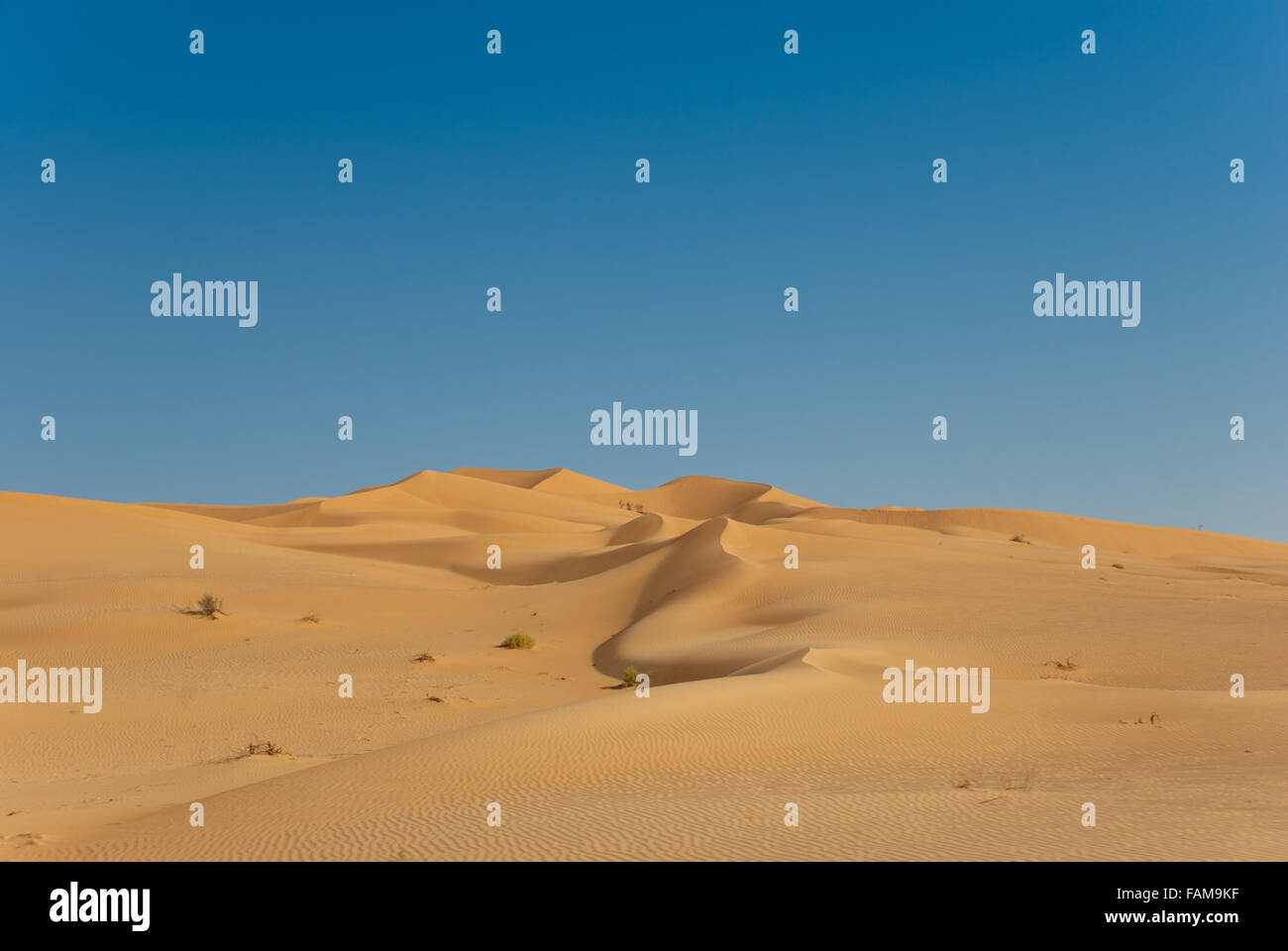 Dune di sabbia del deserto di Oman Foto Stock