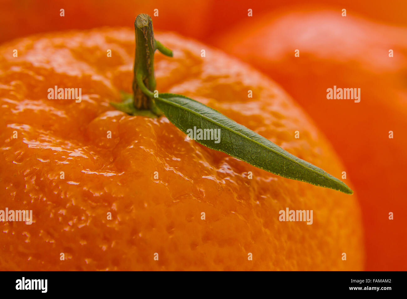 Mature mandarino con foglia, vicino, soft focus come sfondo Foto Stock