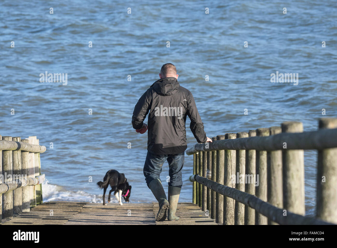 L uomo e il suo cane - un uomo e il suo cane a camminare su una passerella di legno sull'estuario del Tamigi Foto Stock
