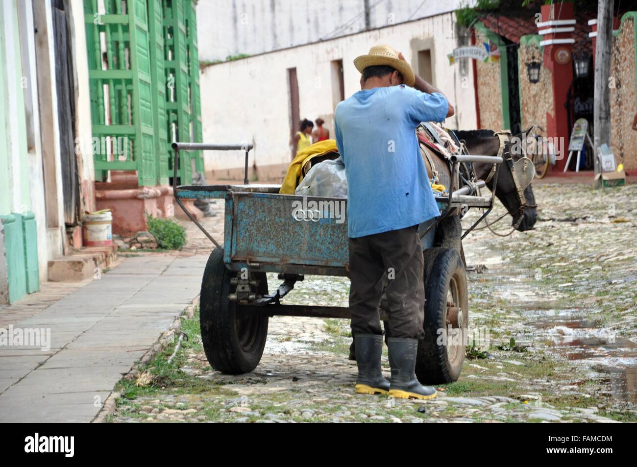 L'agricoltore cubano con cavallo e rimorchio Foto Stock