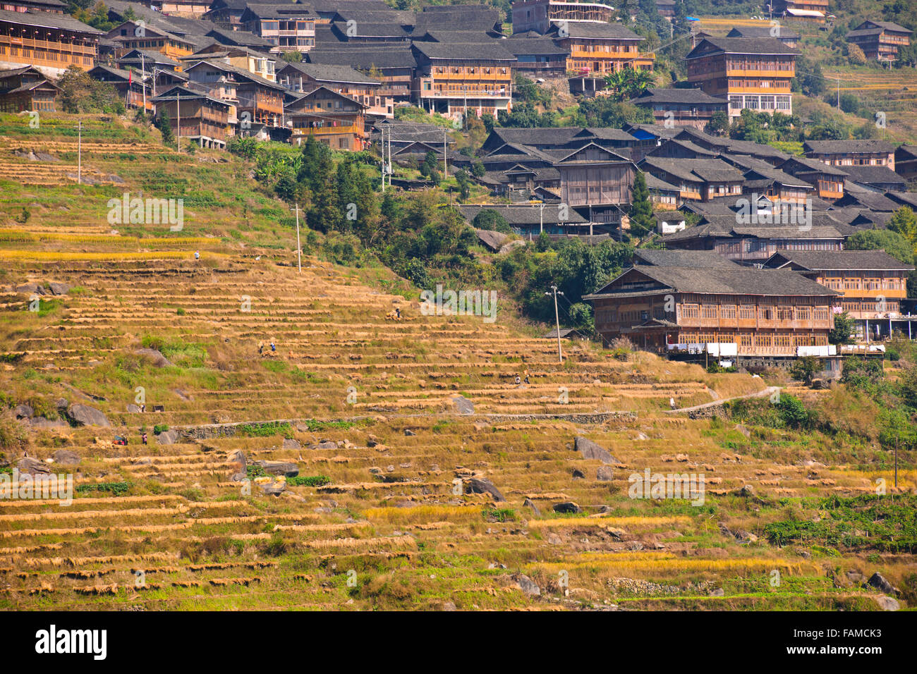 Jinkeng (Dazhai) Red Yao campi terrazzati,zona circostante,terrazze di riso raccolti Zhuang e Yao villaggi,Longsheng,Guangxi,Cina Foto Stock