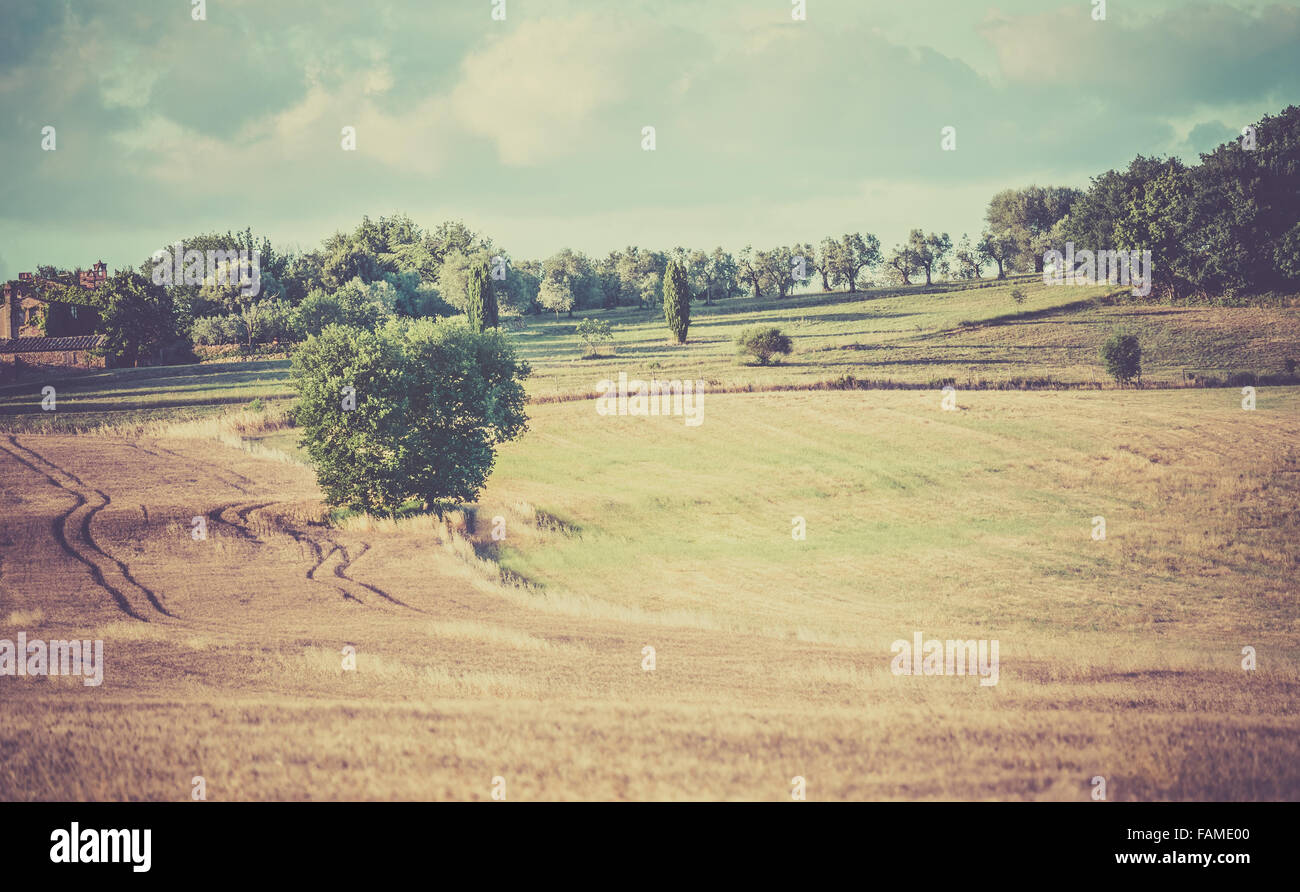 Retrò filtrata estate paesaggio di campagna in Toscana Foto Stock