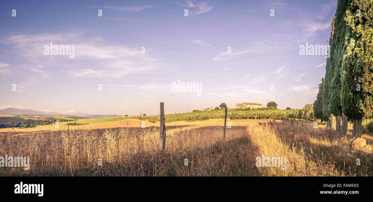 Estate paesaggio di campagna con alti cipressi in Toscana Foto Stock