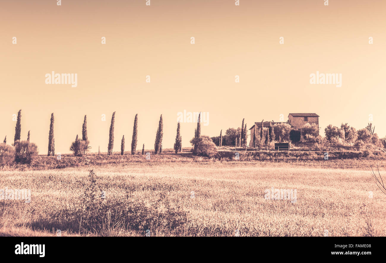 Estate paesaggio retrò della casa colonica toscana e cipressi Foto Stock