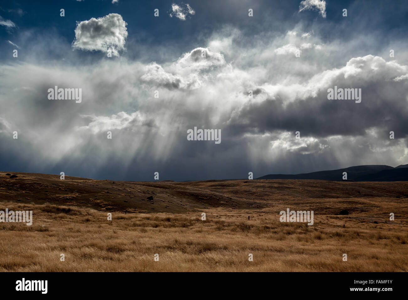 Tempesta di avvicinamento in Nuova Zelanda Foto Stock