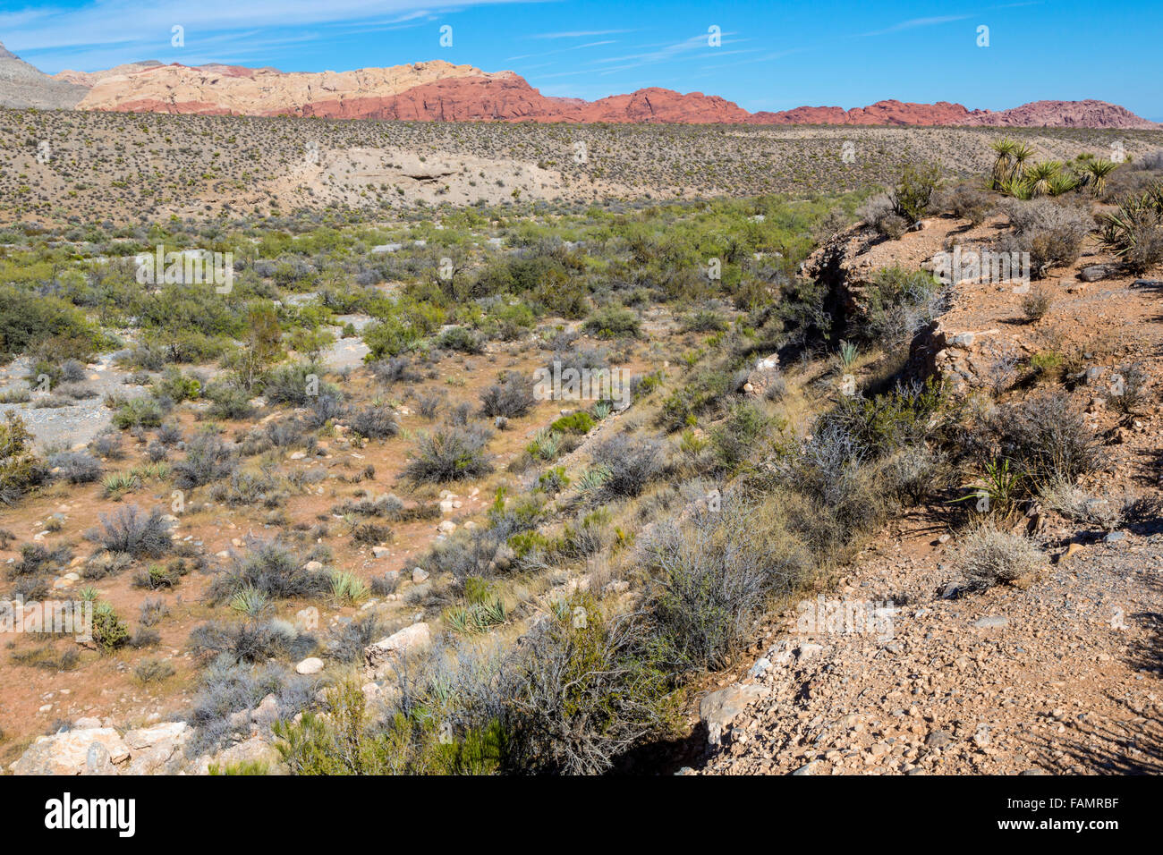 Il Red Rock Canyon, Nevada. Il Red Rock lavaggio, un Arroyo, o gola. Colline di calico in background. Foto Stock