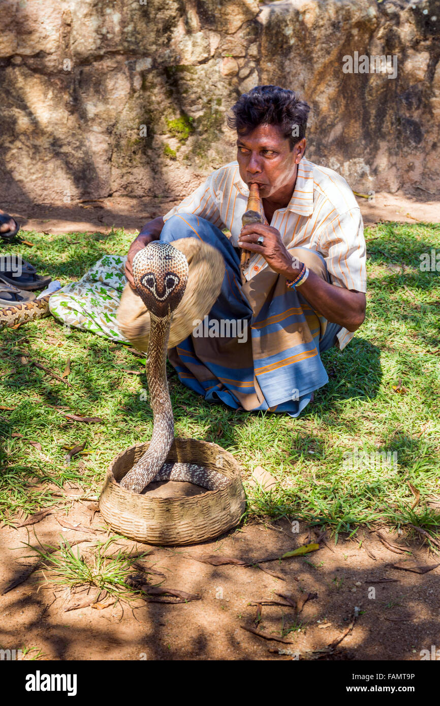 Il serpente incantatore, Anuradhapura Città patrimonio mondiale UNESCO, Sri Lanka Foto Stock