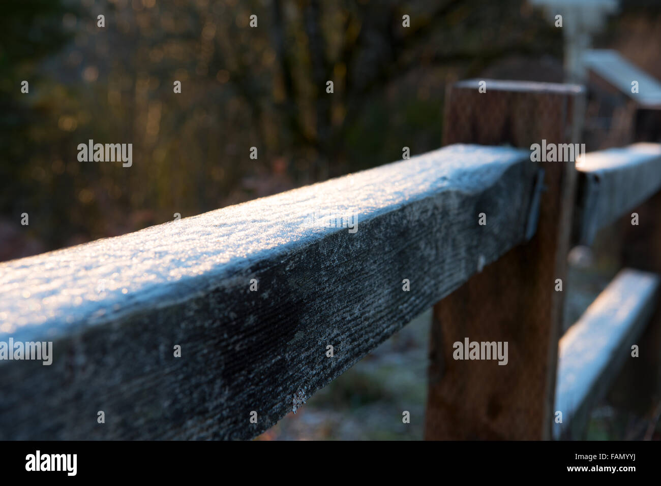 Percorso a piedi rampa coperta dal gelo in un inizio di inverno luce del sole di mattina in Oregon, USA Foto Stock