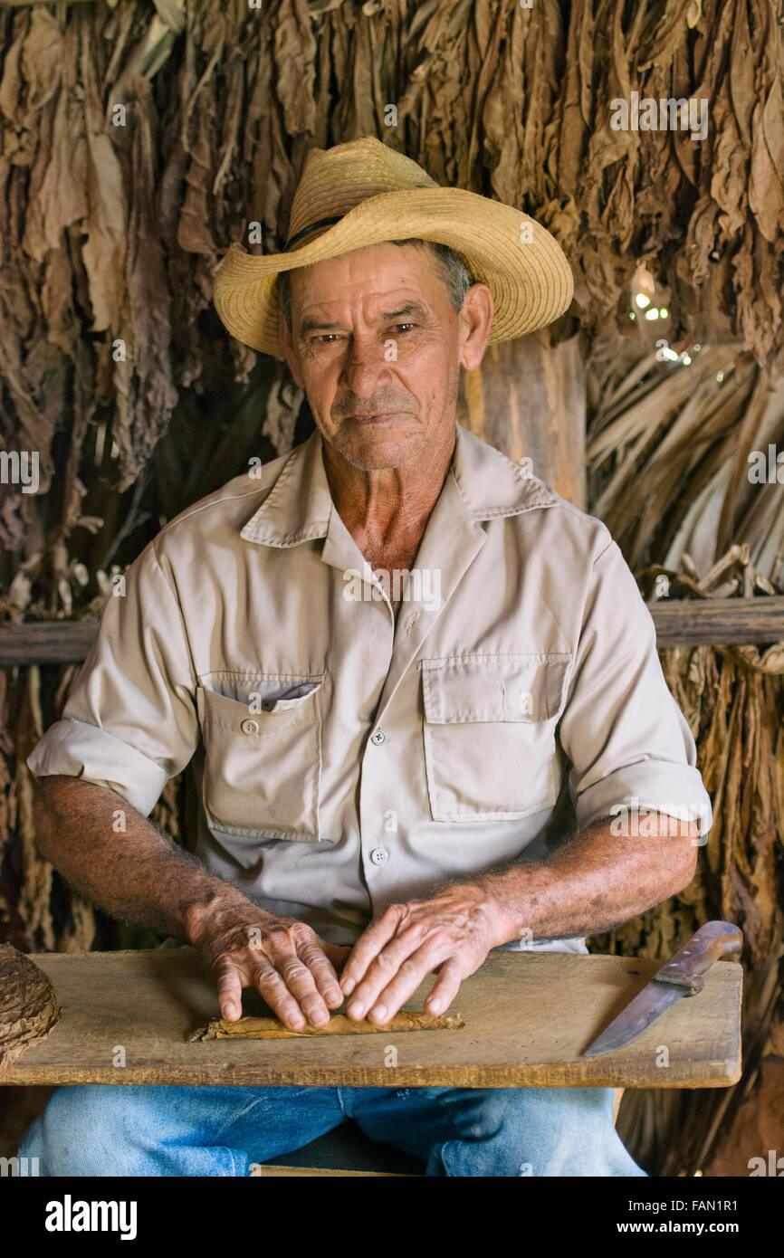La laminazione del sigaro cubano, coltivatore di tabacco Sigari rullo Maker Vinales Valley, Cuba Foto Stock