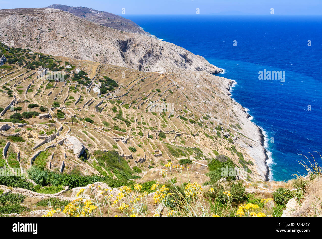 Folegandros il paesaggio costiero di muri in pietra a secco su Folegandros island, Cicladi Grecia Foto Stock