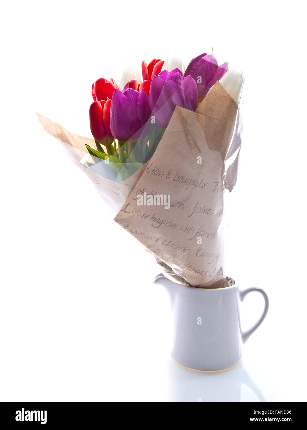 Tulipani misti in una brocca su sfondo bianco Foto Stock