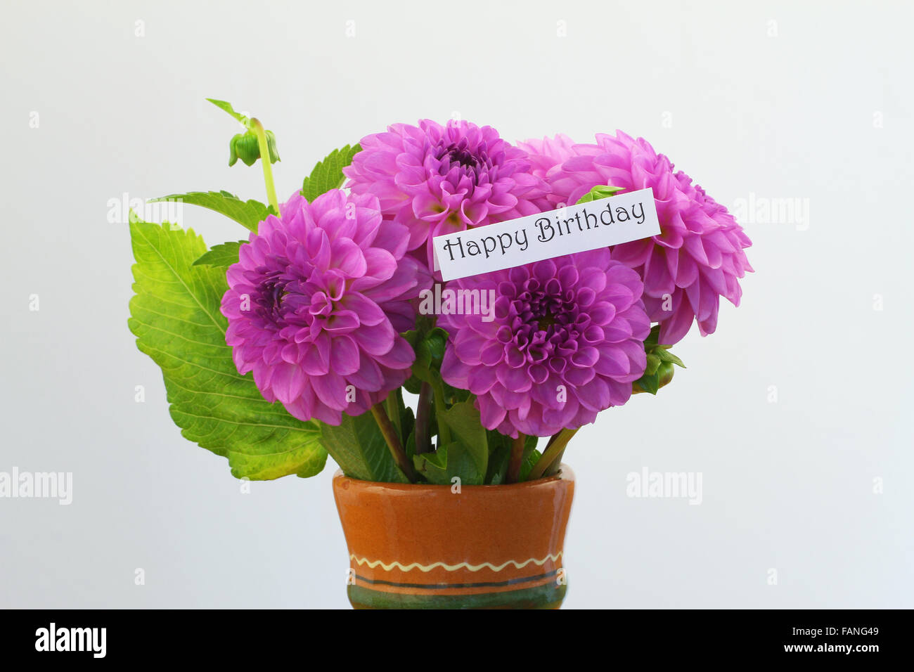 Buon compleanno card con rosa bouquet dahlia Foto Stock