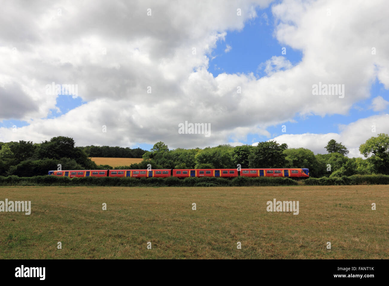 Treno South West attraverso la campagna a Norbury Parco fra Leatherhead e Dorking Surrey, Inghilterra, Regno Unito. Foto Stock