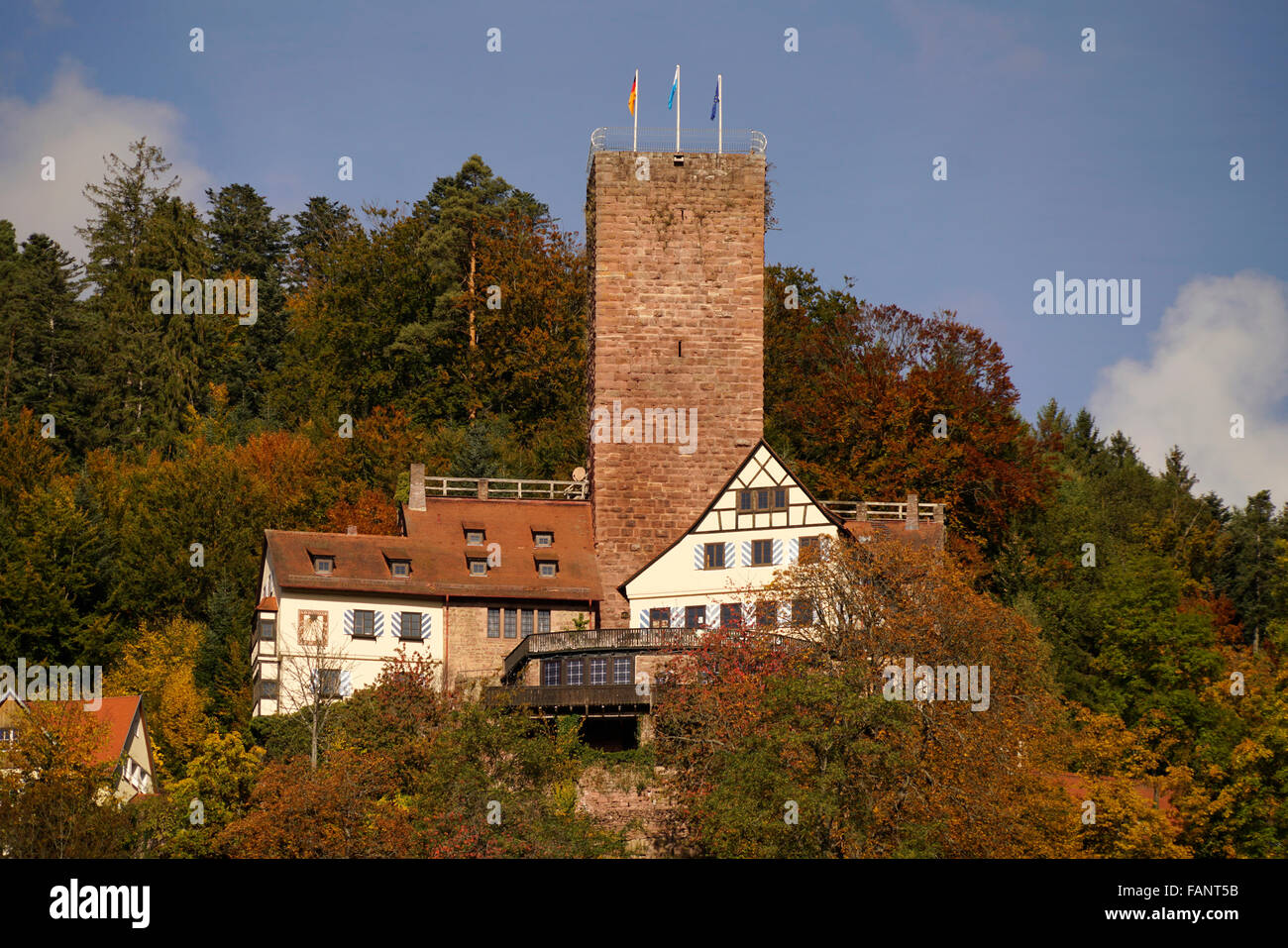 Liebenzell Castle, Bad Liebenzell, Foresta Nera settentrionale, Baden-Württemberg, Germania Foto Stock