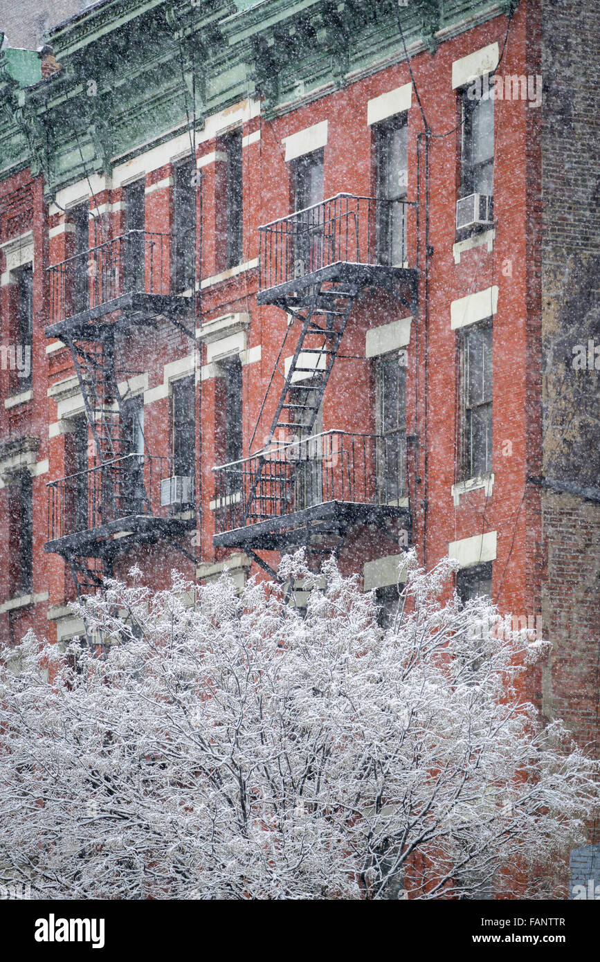 Coperta di neve albero davanti a Hells Kitchen edificio con fire escape durante una tempesta di neve. Midtown Manhattan,New York in inverno Foto Stock