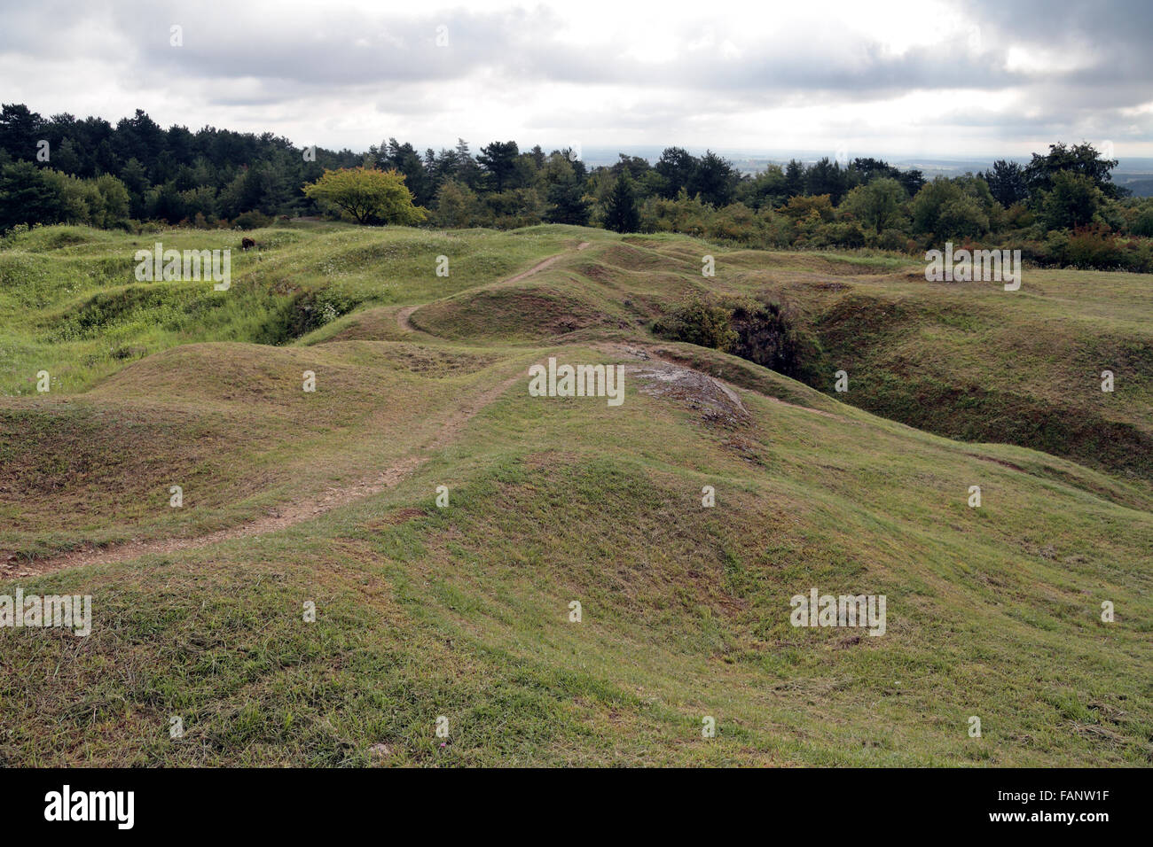 I resti di crateri intorno all'ouvrage (o "opere") di Froideterre, Douaumont, vicino a Verdun, Meuse, Francia. Foto Stock