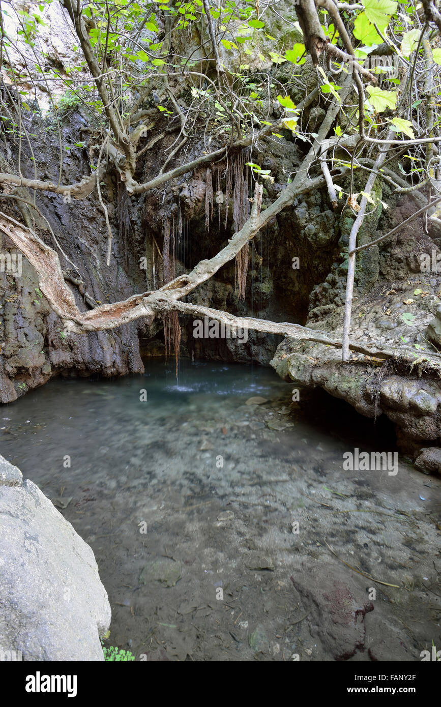 Bagni di Afrodite, molla piscina alimentata sulla penisola di Akamas, Cipro Foto Stock