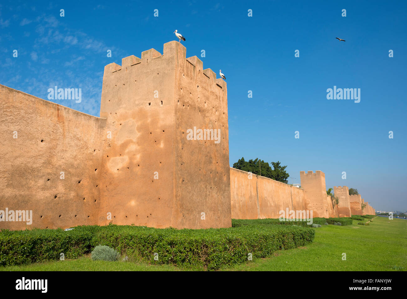 Almohade mura della città di Medina di Rabat, Marocco. Il Nord Africa. Foto Stock