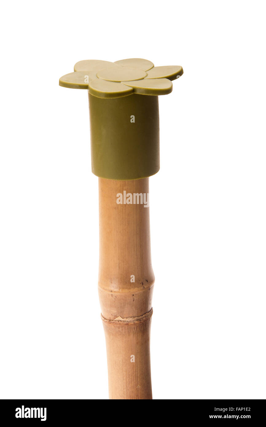 Protezione dell'occhio del giardino tappo di protezione sopra bambù canna isolato sopra bianco Foto Stock