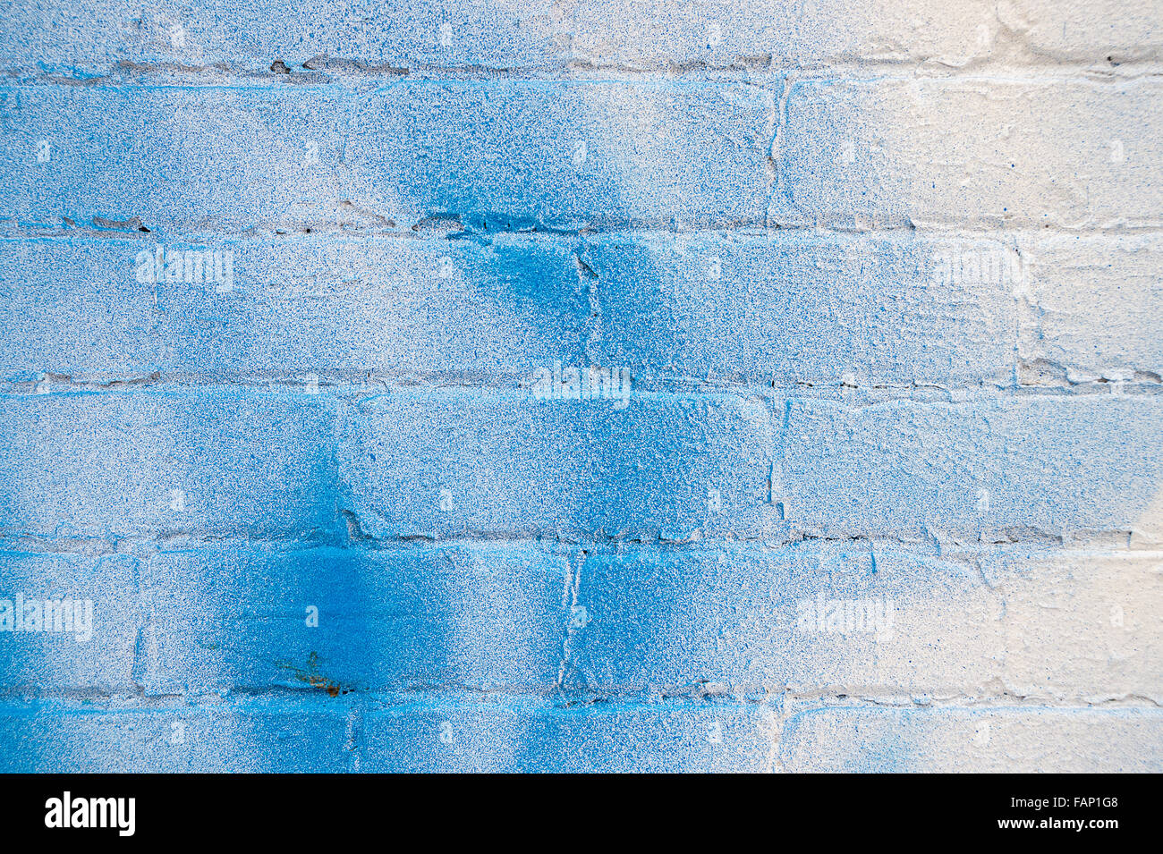 Vista dettagliata del bianco parete in mattoni con spray blu macchie Foto Stock