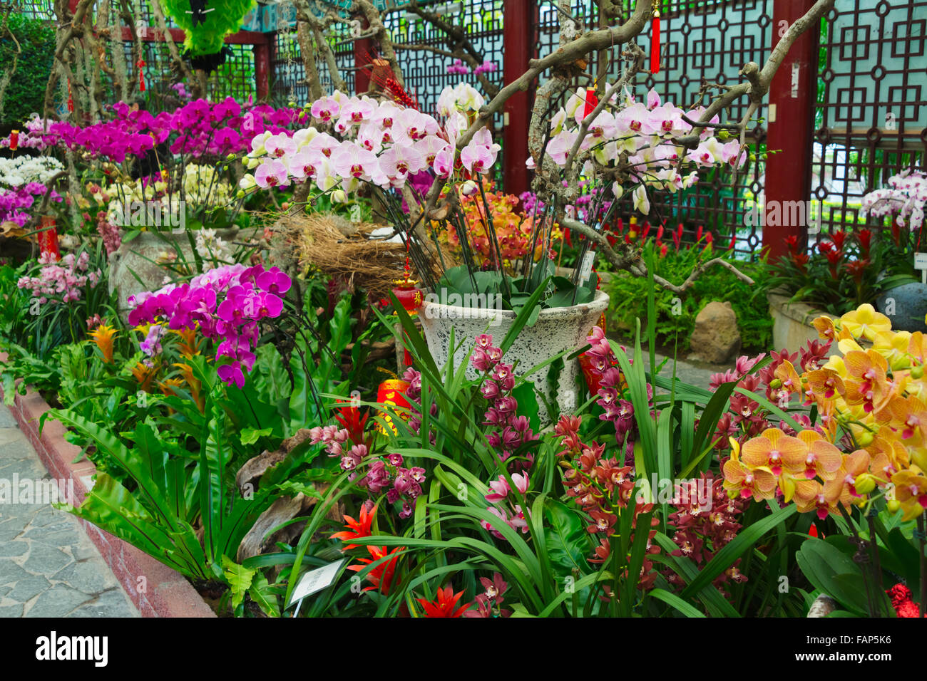 Orchid a Shilin residenza ufficiale, l'ex casa del defunto Presidente Chiang Kai-shek, Taipei, Taiwan Foto Stock