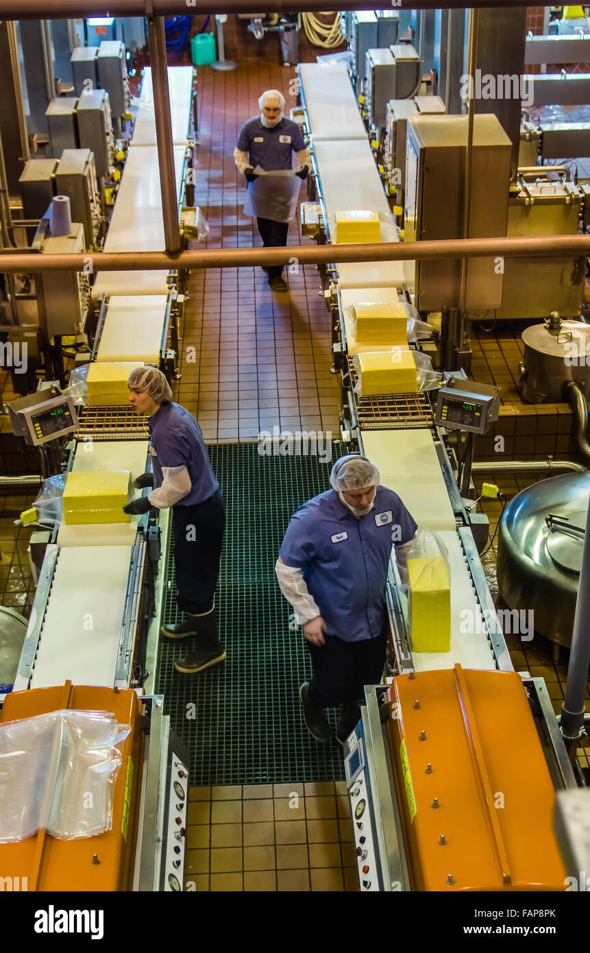Lavoratori preparare il formaggio per lo stoccaggio e l'invecchiamento al Tillamook fabbrica di formaggio, Tillamook, Oregon, Stati Uniti d'America Foto Stock