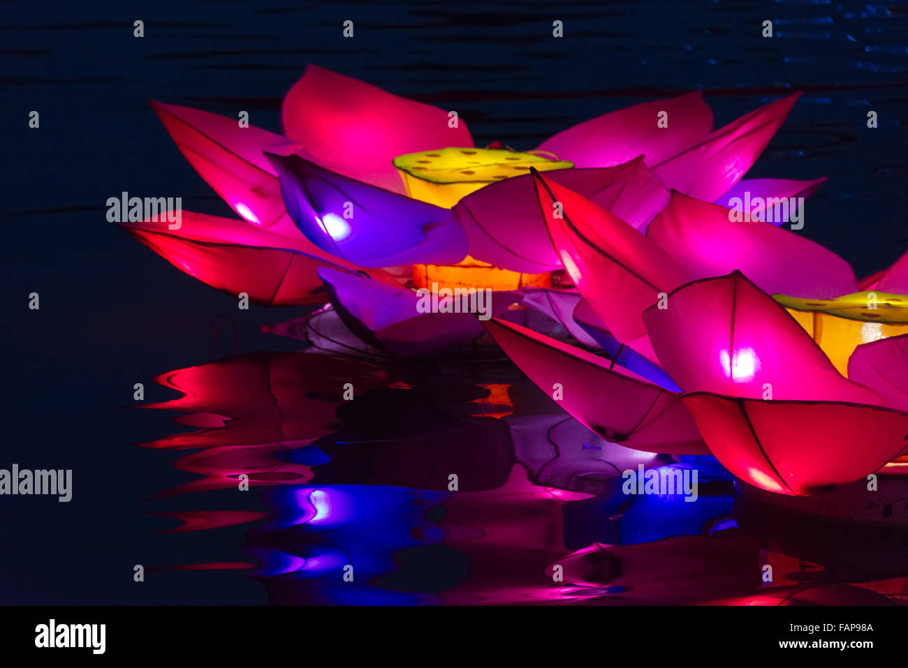 Vista notturna illuminata del fiore di loto lanterne a festa delle lanterne, Taichung, Taiwan Foto Stock