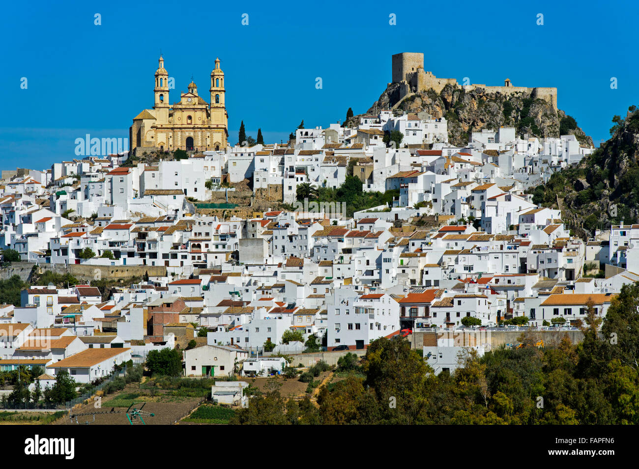 La città bianca, Pueblo Blanco, Olvera, provincia di Cadice, Andalusia, Spagna Foto Stock