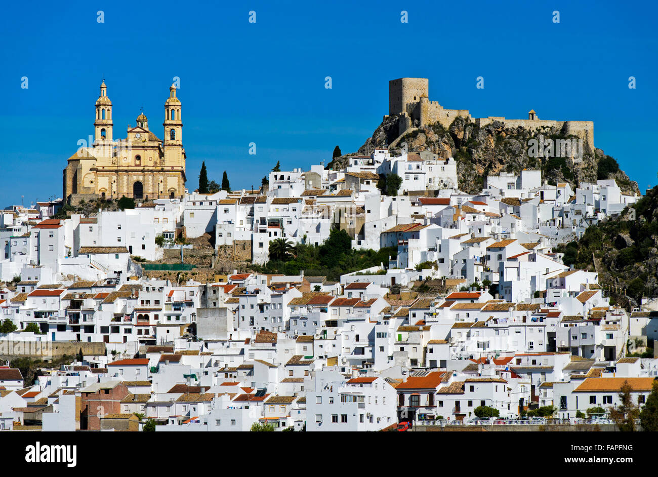 La città bianca, Pueblo Blanco, Olvera, provincia di Cadice, Andalusia, Spagna Foto Stock