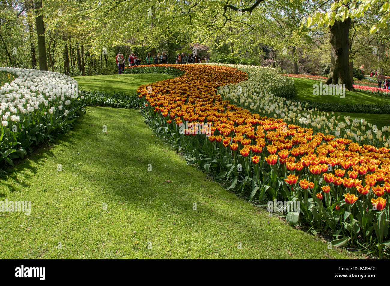 Keukenhof Spring Garden, Olanda Foto Stock
