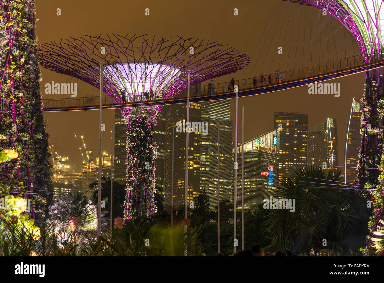 Skyway tra colorate Super lit alberi, giardini dalla baia, Singapore, Asia Foto Stock