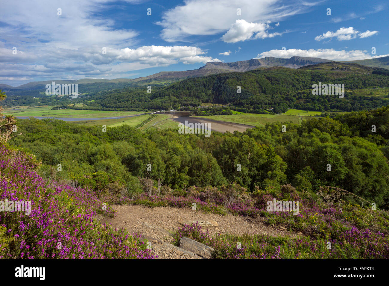 Un panorama ripreso dal panorama a piedi passando per la valle di Mawddach con ponte a pedaggio e cader Idris mountain range in background. Foto Stock
