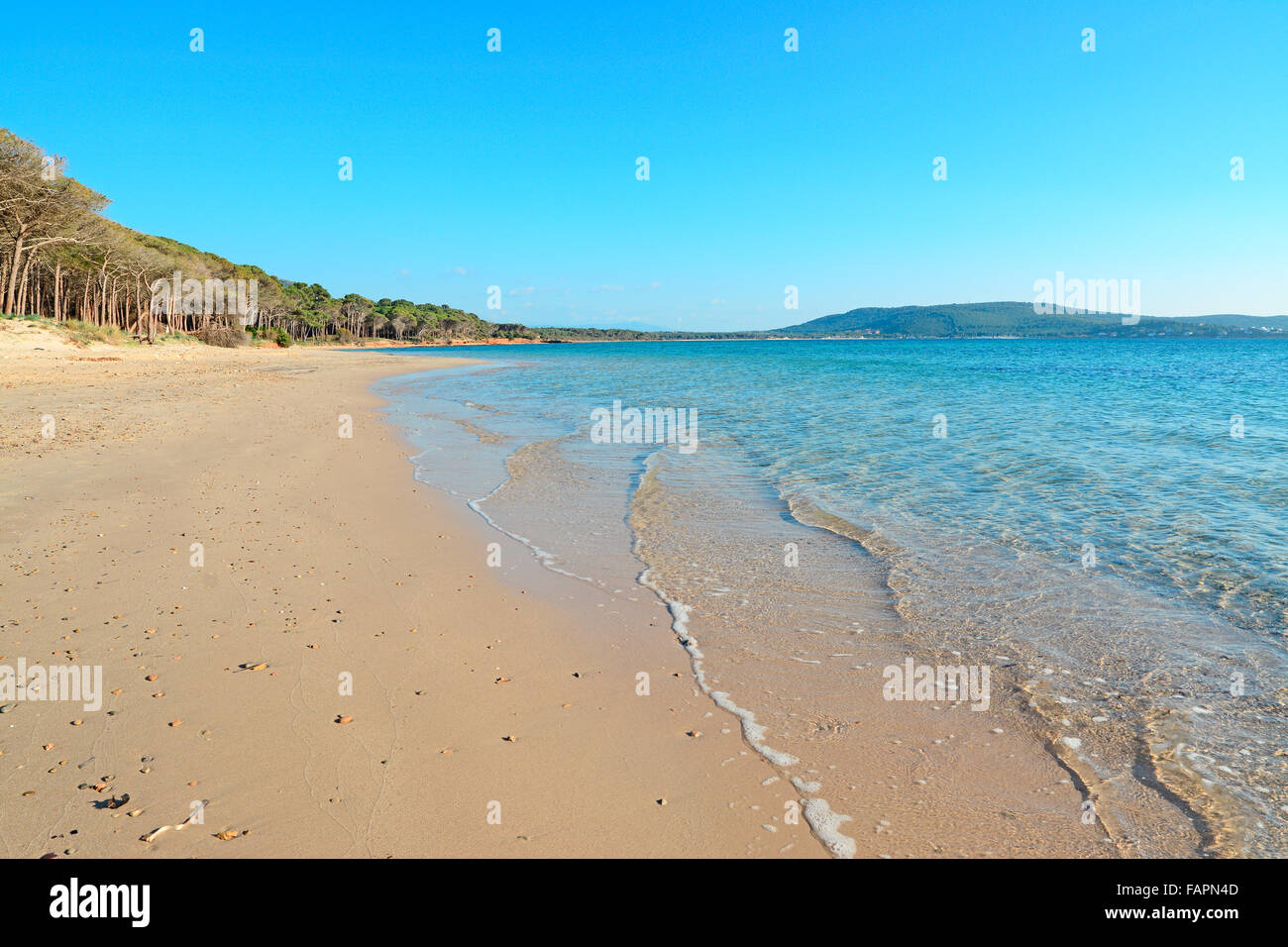 Spiaggia Mugoni Di Alghero In Una Limpida Giornata Di Sole