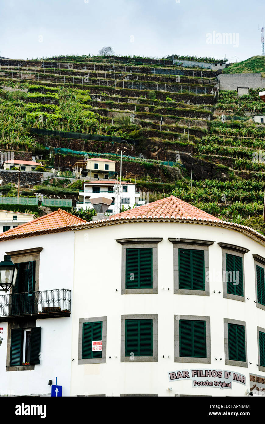 Hillside, terrazzato agricoltura in Madeira Foto Stock